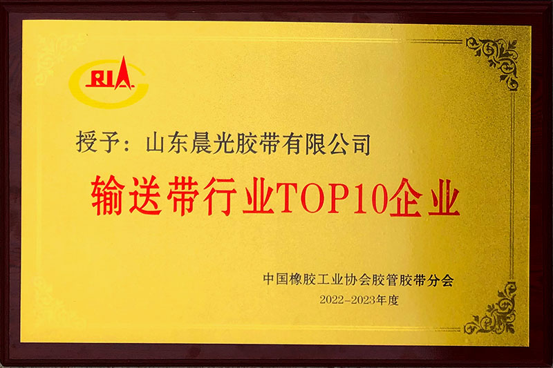 2023年輸送帶行業(yè)十強企業(yè)